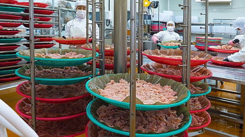东北大姐开加工厂,将鸡脯肉烘干卖,每天加工2吨肉,订单出口海外
